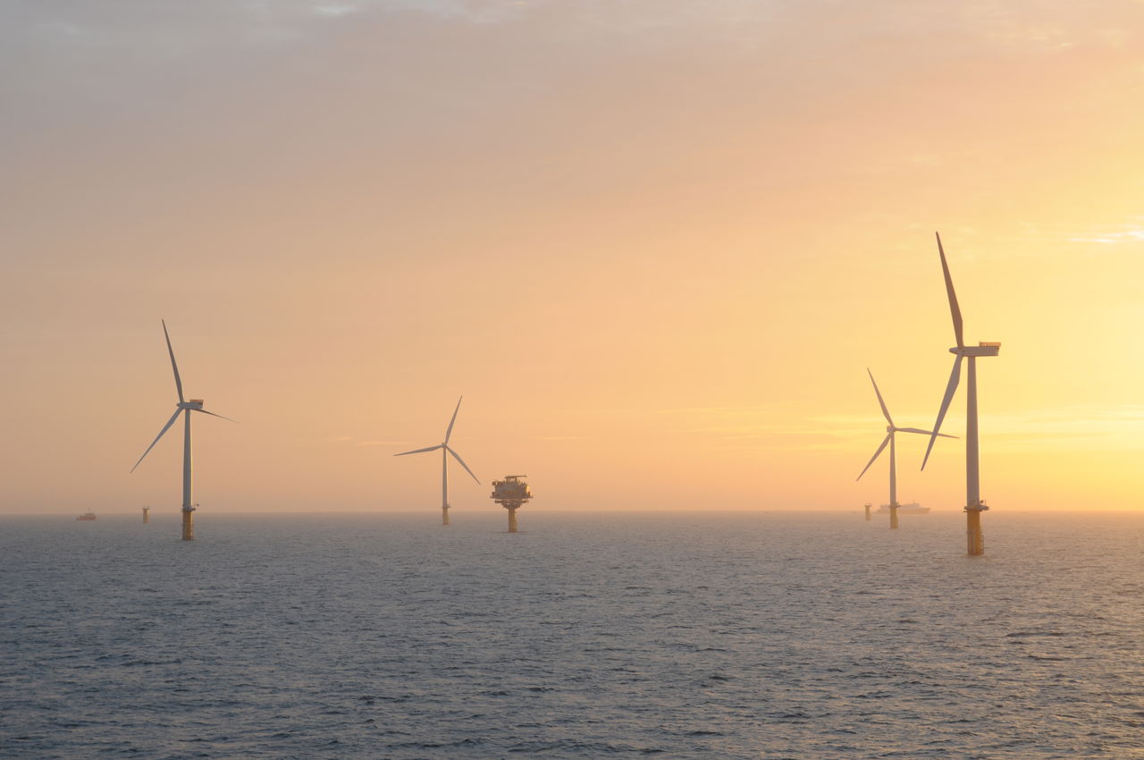 Bilder av ett antal havsbaserade vindkraftsverk i solnedgång.